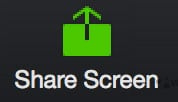 share screen button 1 Zoom Web Client