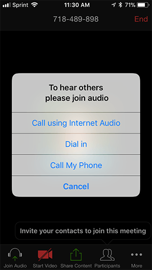 audio options menu 12 Hướng dẫn cài đặt âm thanh trên thiết bị iOS?