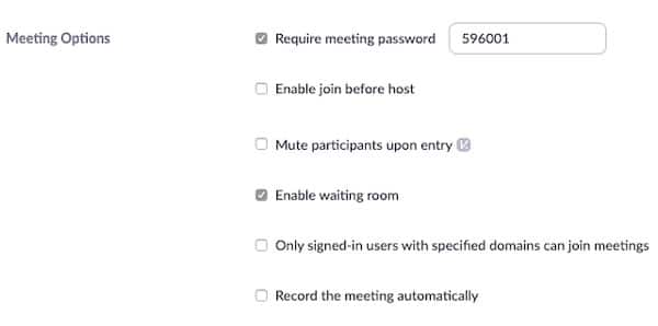 meeting options 098 Meeting and Webinar Passwords