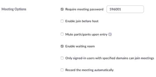 meeting options 1 Meeting and Webinar Passwords
