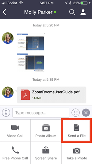chat send file button 1 Hướng dẫn cách chụp màn hình, gửi ảnh và chuyển tập tin trong phần mềm zoom năm 2024