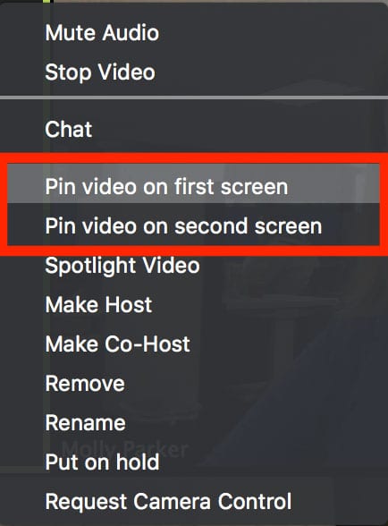 pin video options12 Pin Video