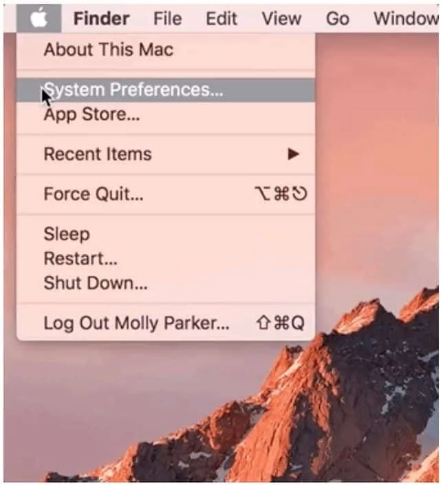 Nhấp vào Biểu tượng Apple ở góc trên cùng bên trái màn hình
