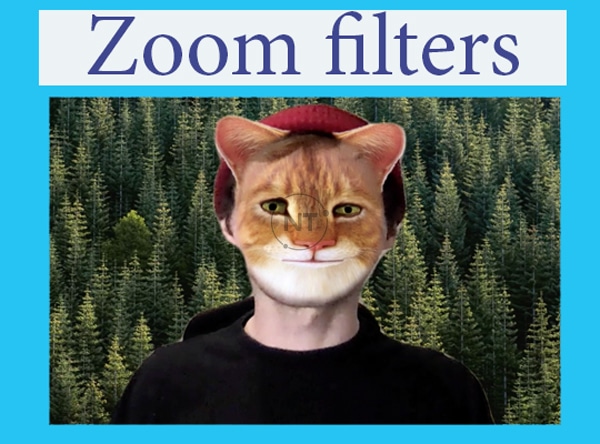Filter trên zoom, cách tắt zoom filter app