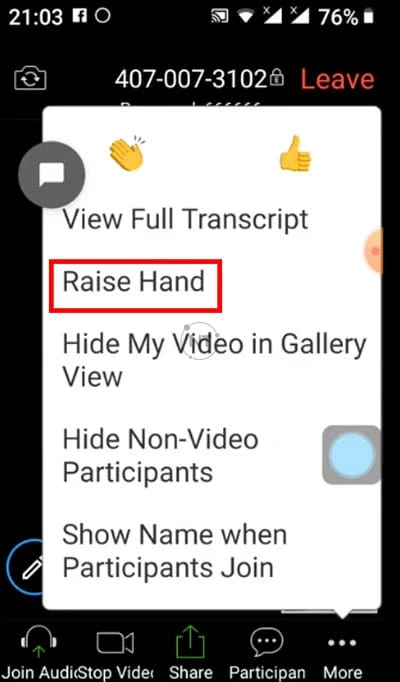 chọn Raise Hand để bật biểu tượng giơ tay xin phát biểu