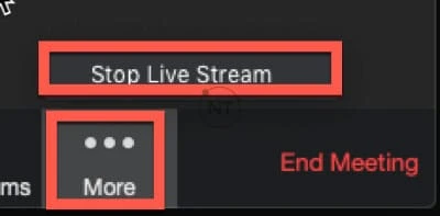 Zoom meeting/webinar title on YouTube 