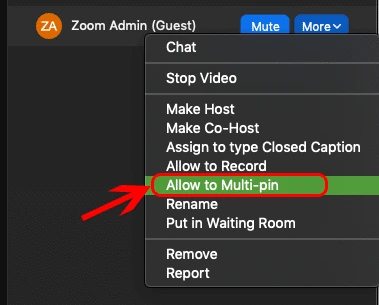 3. Một Menu hiện lên, chọn Allow to Multi-pin