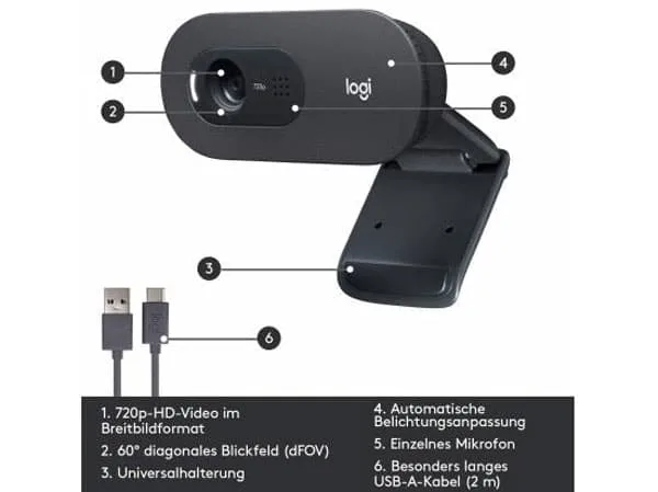 Logitech C505e