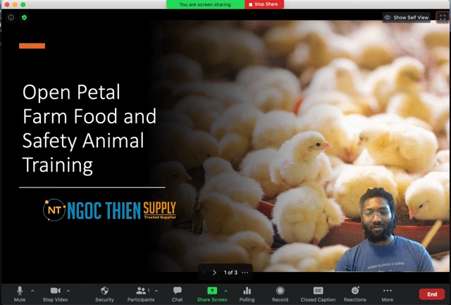 Cách quản lý các Slide PowerPoint và video trên Zoom