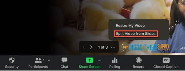 Cách xóa hình ảnh của người trình bày khỏi các Slide trên Zoom