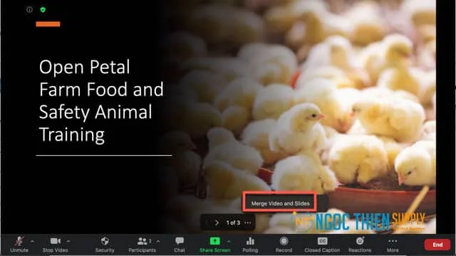hình ảnh của người thuyết trình xuất hiện lại vào các slide