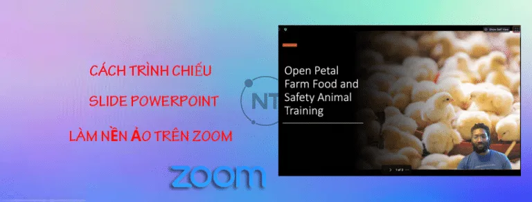 Cách trình chiếu Slide PowerPoint làm nền ảo trên Zoom