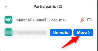 Rê chuột đến người muốn chuyển Host lớp học trên Zoom > Chọn More