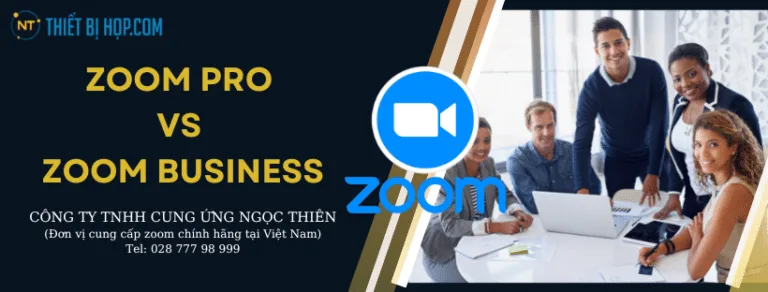 Zoom Pro vs Business