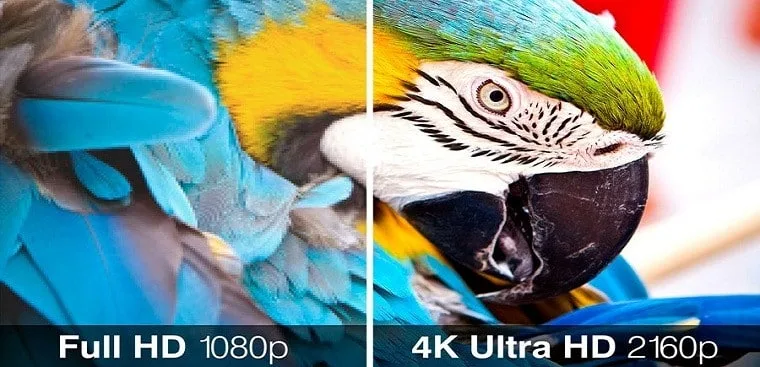 ưu điểm của webcam pc 4k