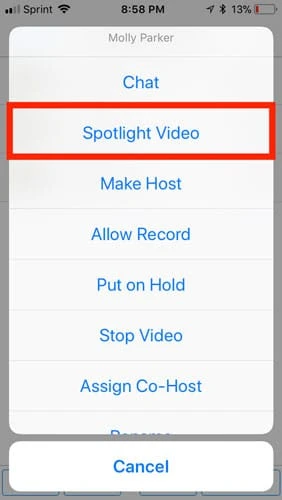 Hướng dẫn sử dụng Spotlight trên Zoom
