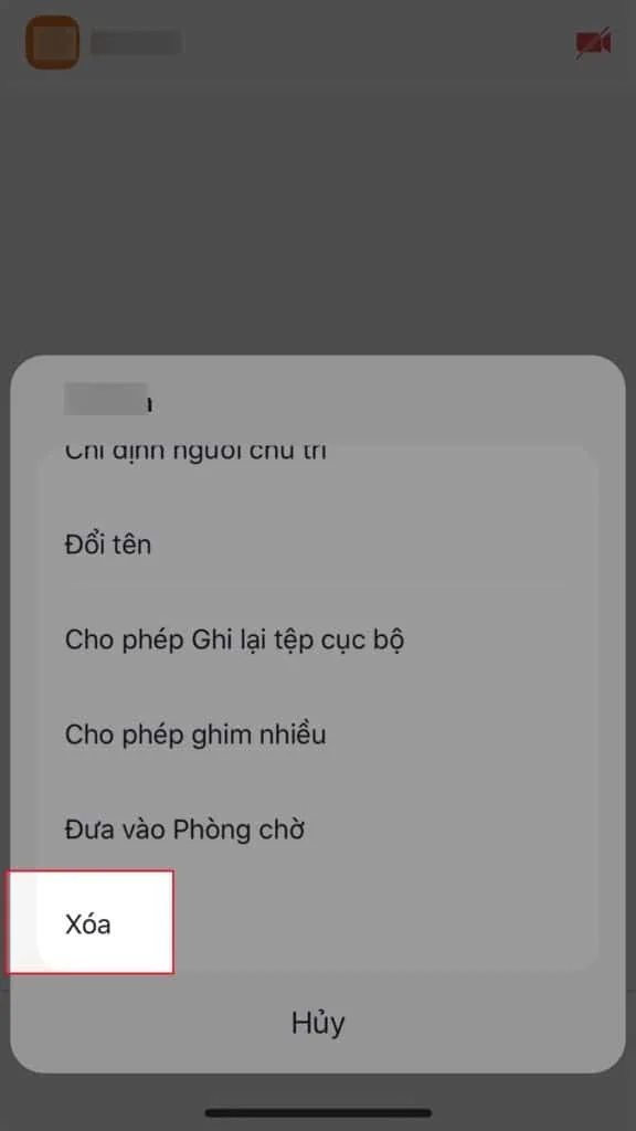 Cách kick người khác ra khỏi Zoom trên điện thoại
