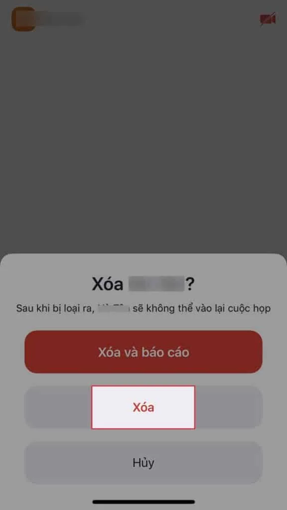 Cách kick người khác ra khỏi Zoom trên điện thoại