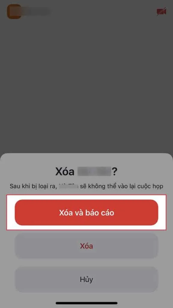 Cách kick người khác ra khỏi Zoom trên điện thoại