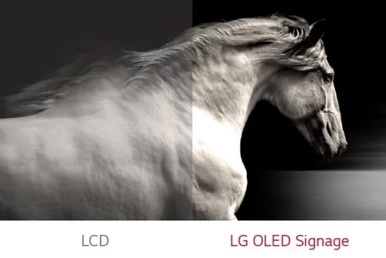 55ef5g-p sở hữu màu đen tuyệt đối