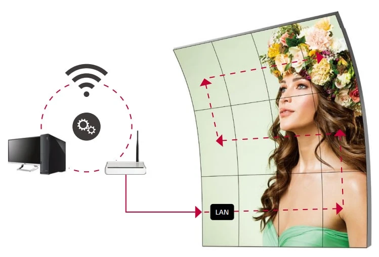 quản lý chuỗi lan daisy