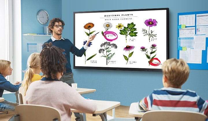Ứng dụng bảng tương tác Samsung Flip vào dạy học