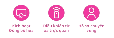 sự kết nối