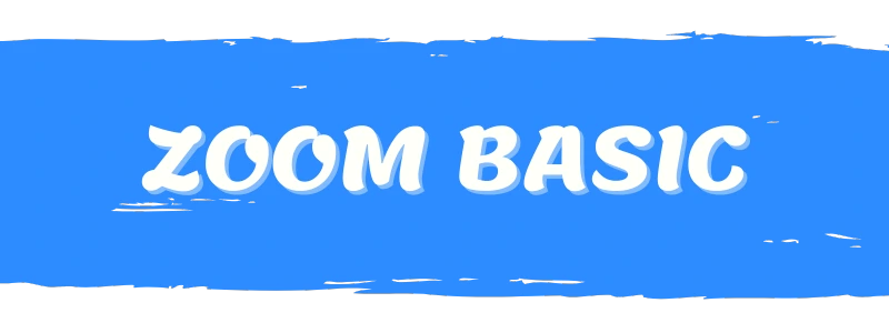 zoom basic