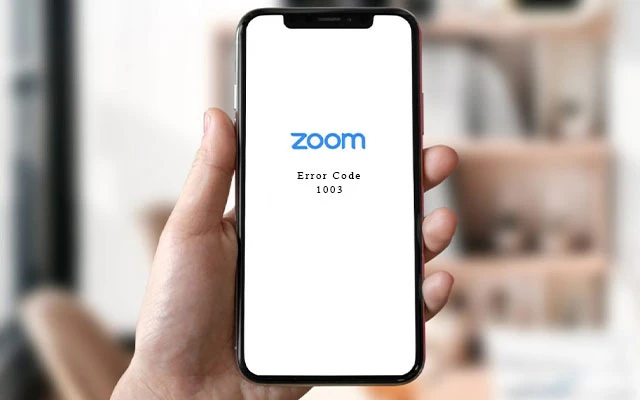 Lỗi 1003 Zoom là gì