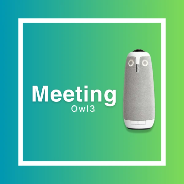 meeting owl3