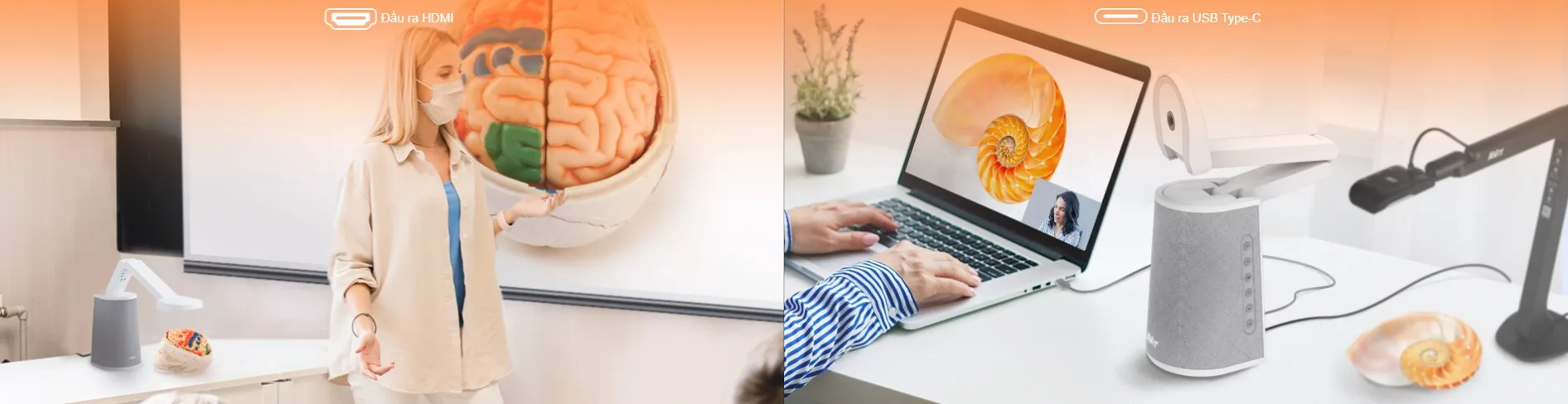 giao diện hiển thị kép