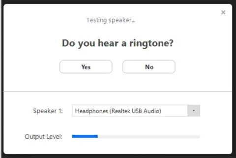 bạn có nghe thấy âm thanh không?