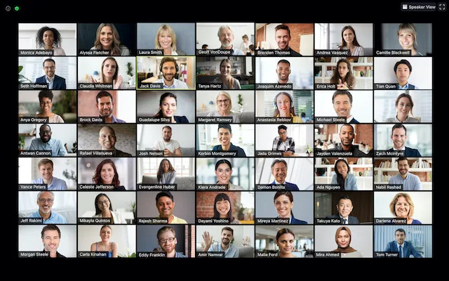 thủ thuật zoom bật chế độ xem thư viện