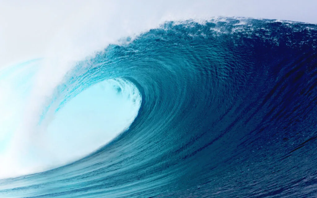 Maxhub WB05 phát video chất lượng cao